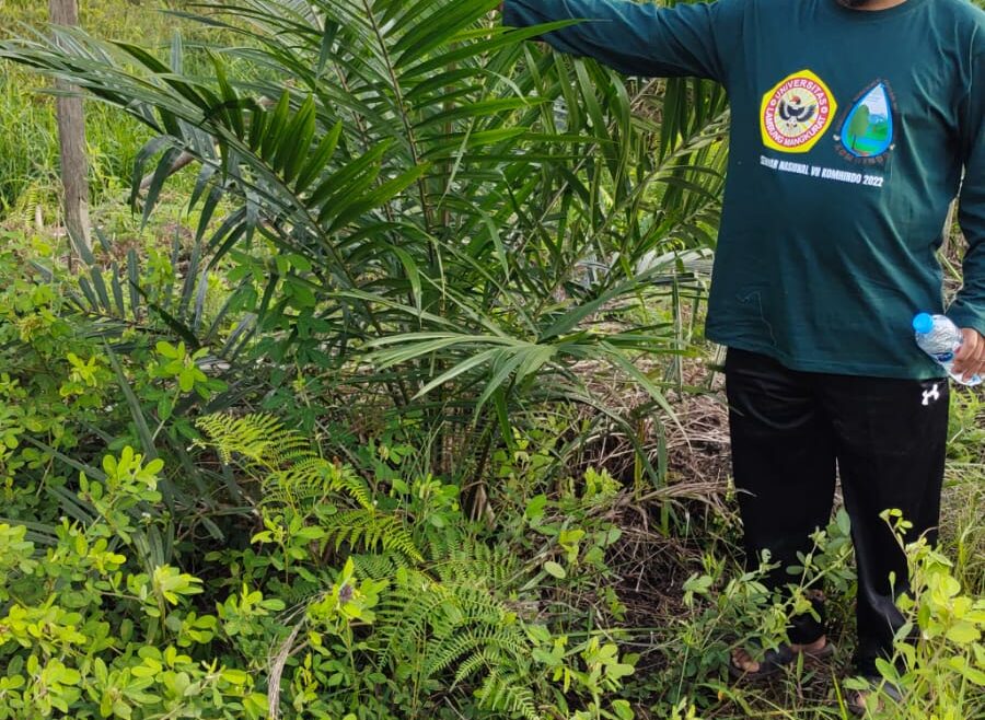 Kondisi Kebun Kelapa Sawit Bulan Desember 2022